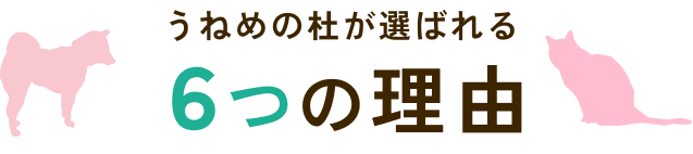 うねめの杜が選ばれる 6つの理由